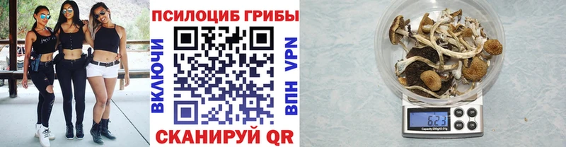 маркетплейс Telegram Златоуст Псилоцибиновые грибы мицелий